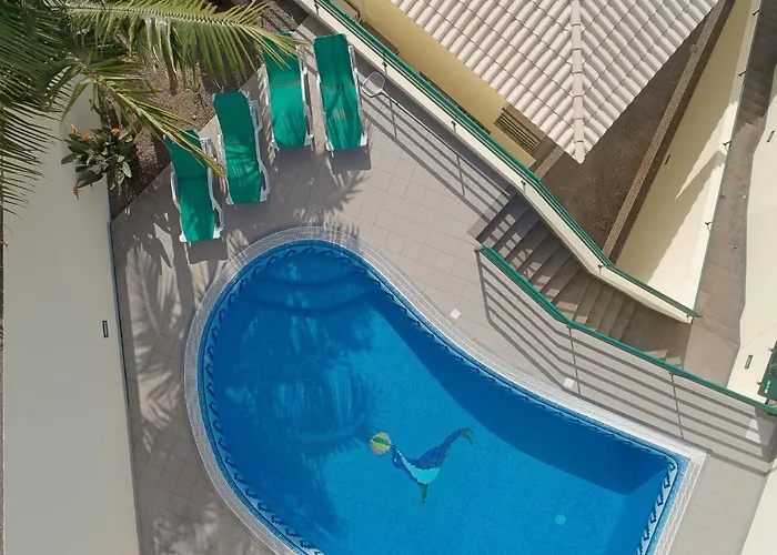 Charming In Funchal (Madeira)